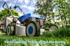 Yard Cleaning Practices for the Spring