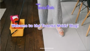 Blog Cleaning Services - Toronto Maids